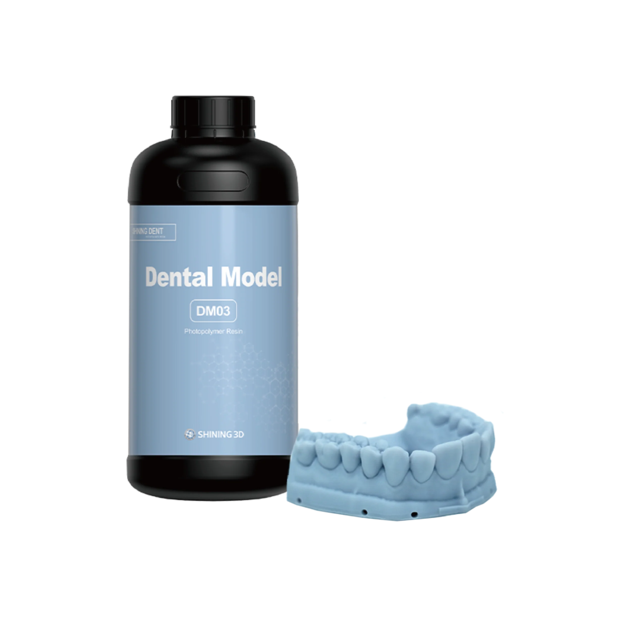 DM03 Dental Model