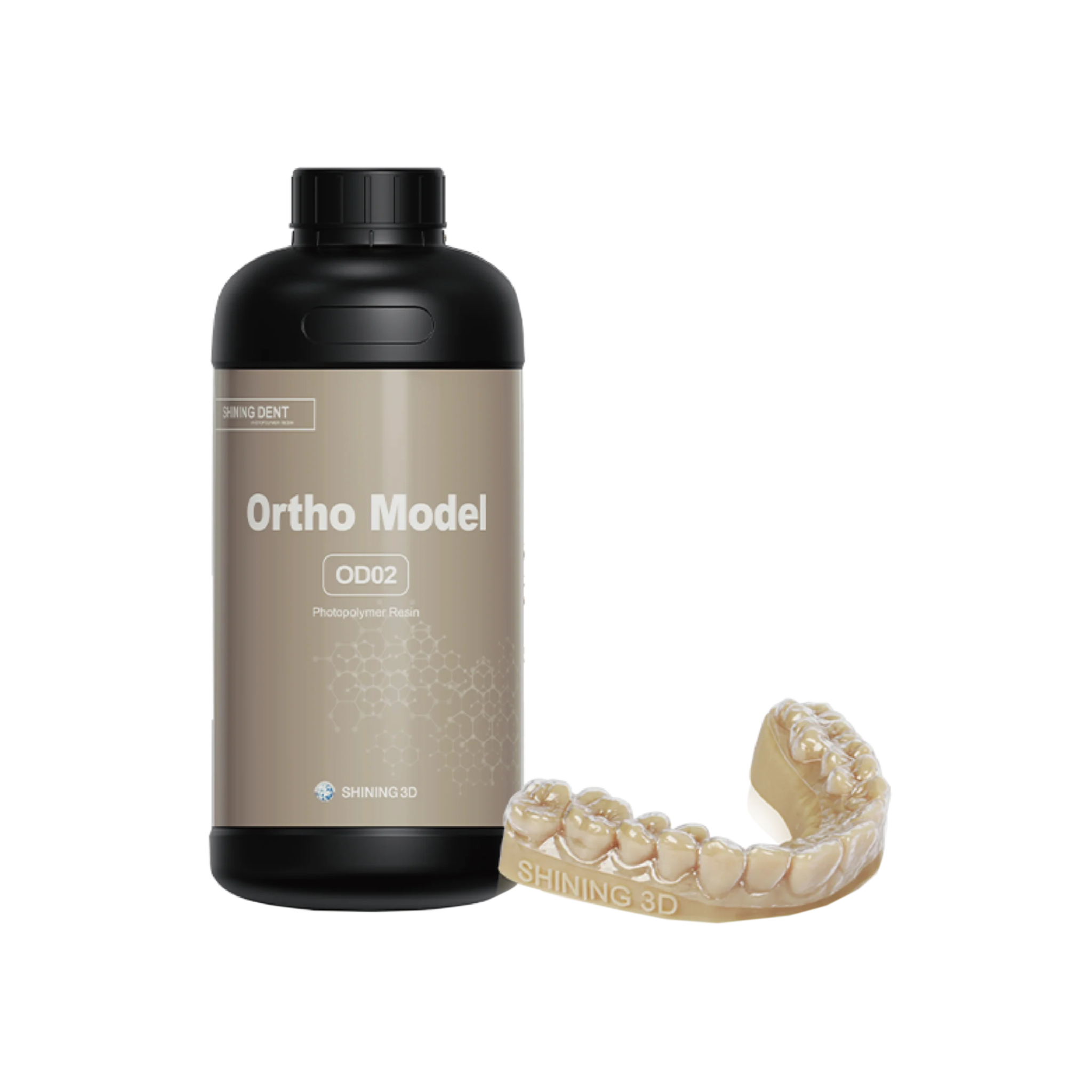 OD02 Ortho Model